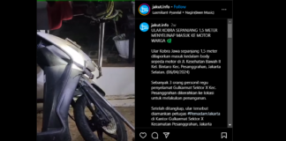 Hati-hati Motor Jadi Sarang Ular!